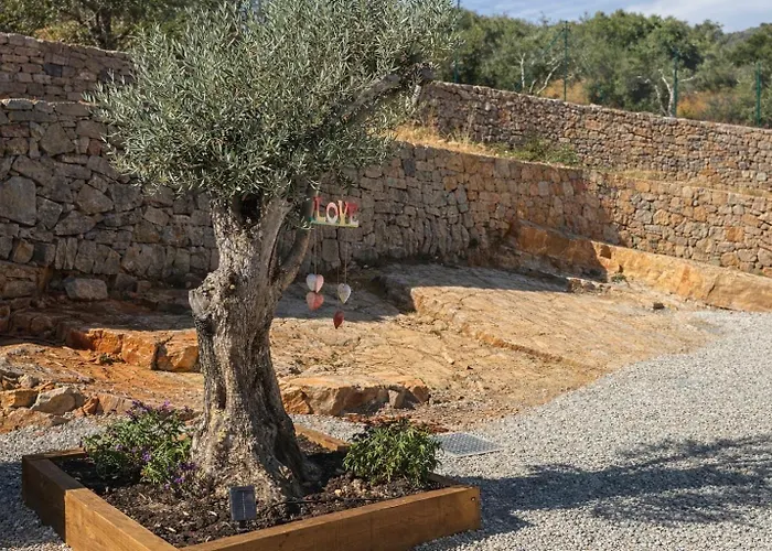 Stone - Monte Chico Ze פארו